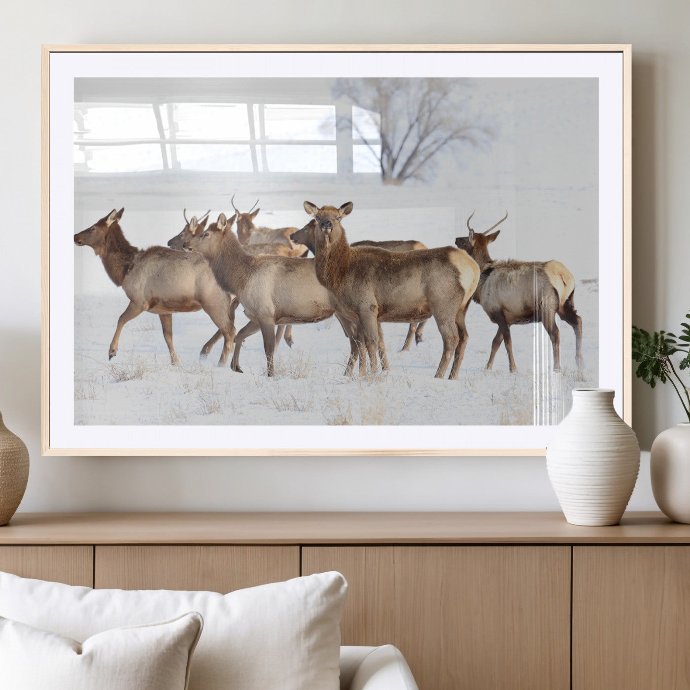 Snowy Elk Herd Wall Art Canvas Print – Majestic Winter