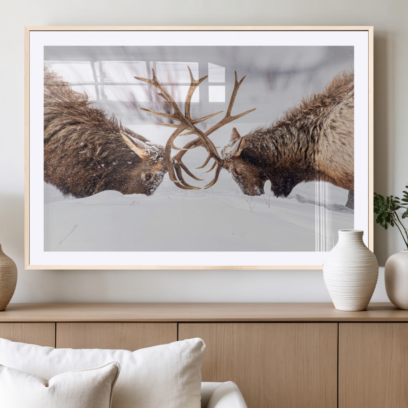 Dramatic Elk Antler Battle Wall Art Canvas Print – elk