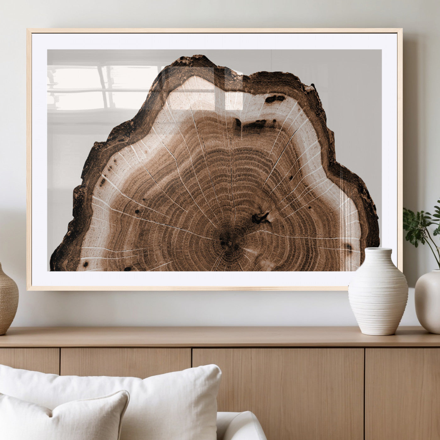 Rustic Wood Rings Wall Art | Nature-Inspired Tree Ring