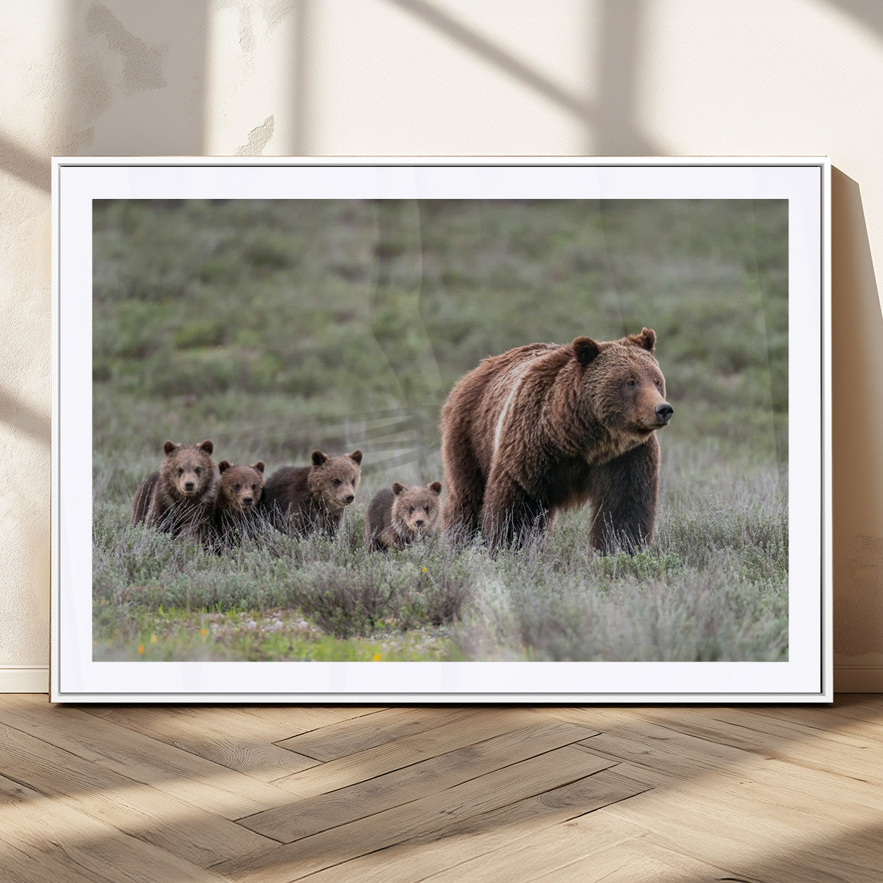 Wildlife Photography of 399 Grizzly Bear Cubs | Queen of the