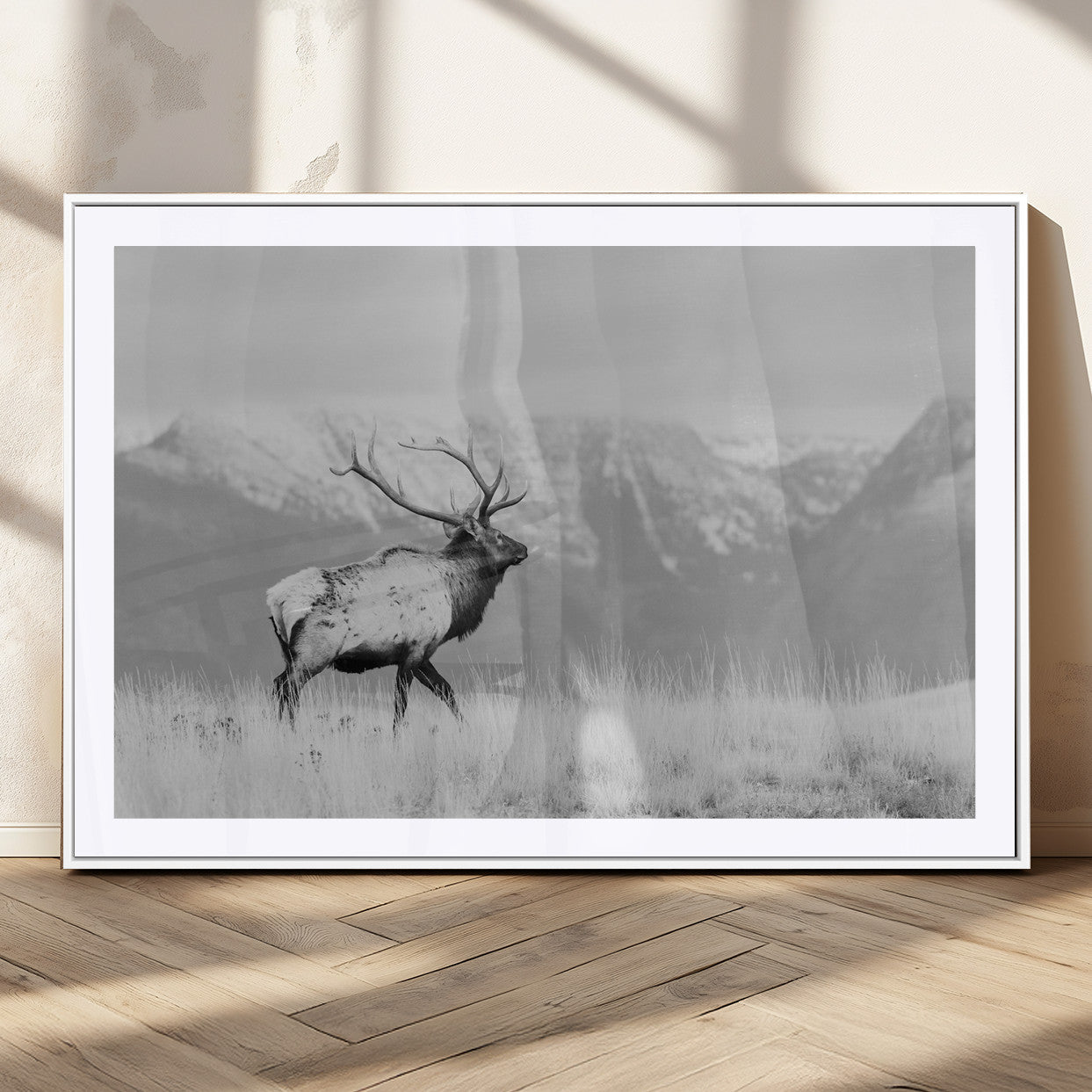 Elk Photography Wall Art Canvas Print, Framed Mountain