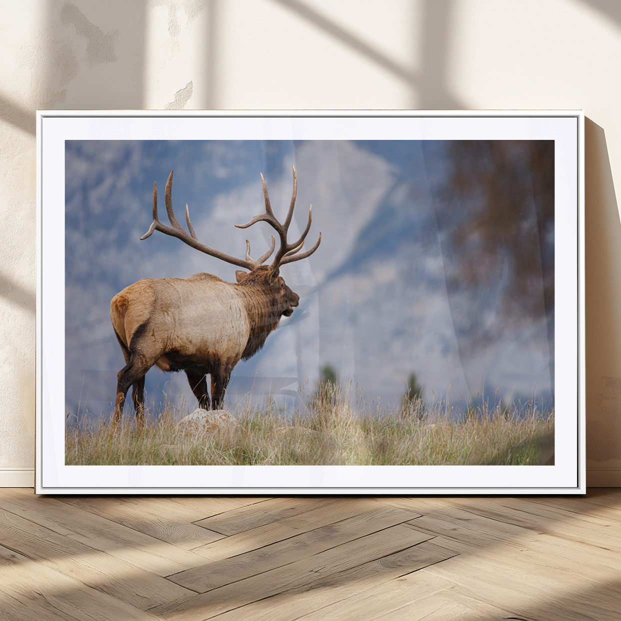 Mountain Elk Wall Art Canvas Print – Framed Rustic Wildlife