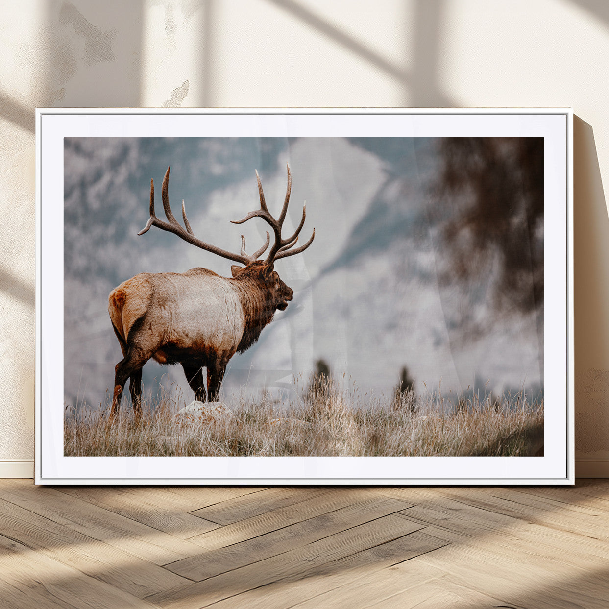 Elk Photography Wall Art Canvas Print – Framed Mountain