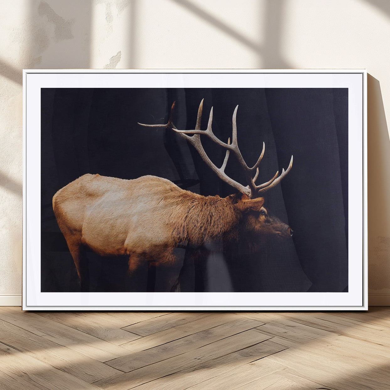Bull Elk Decor Wall Art Canvas Print – Framed Elk