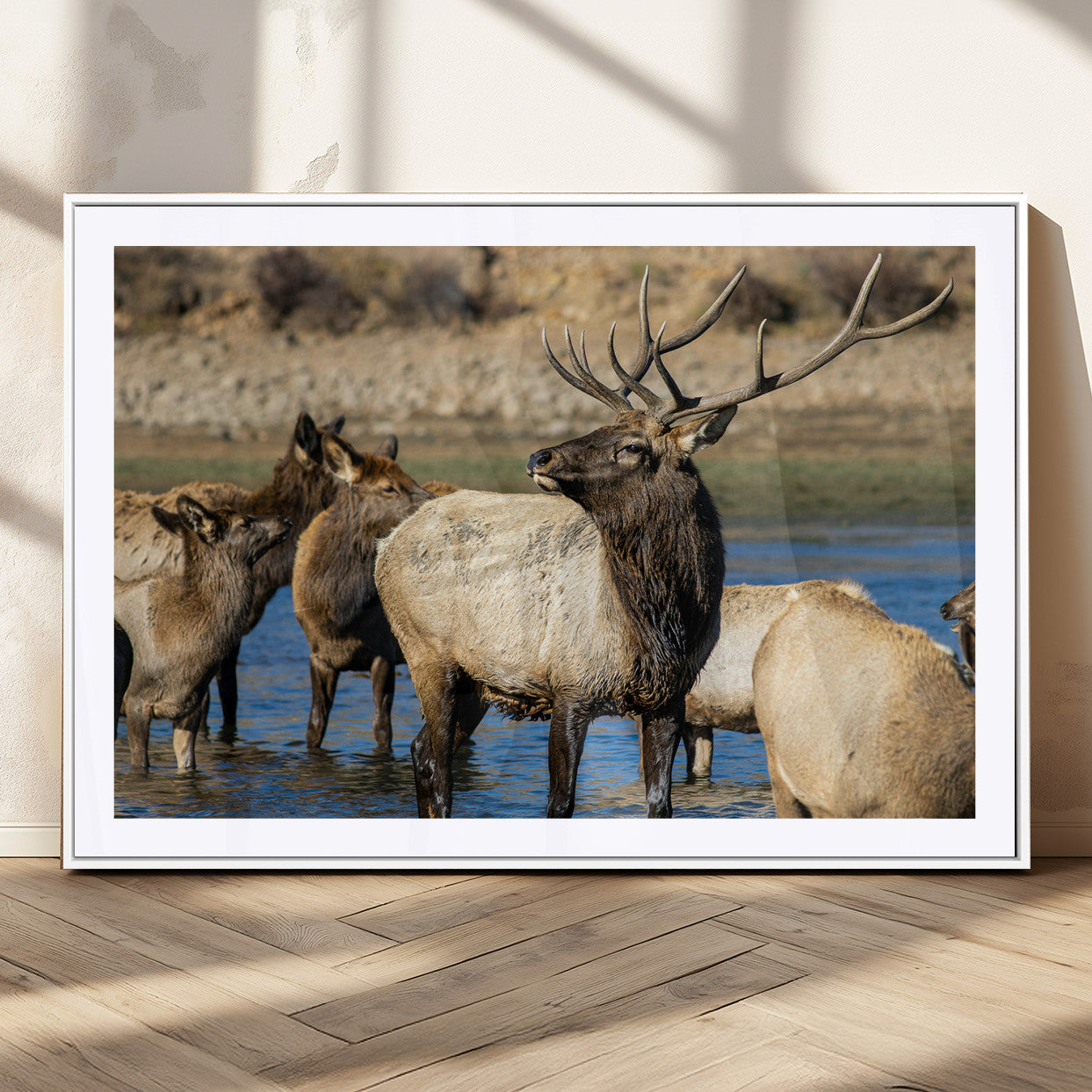 Wild Elk Wall Art Canvas Print – Framed Neutral Wildlife