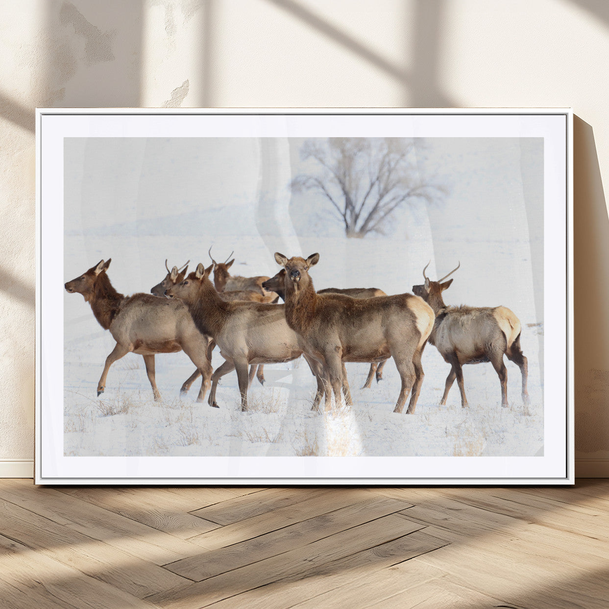 Snowy Elk Herd Wall Art Canvas Print – Majestic Winter