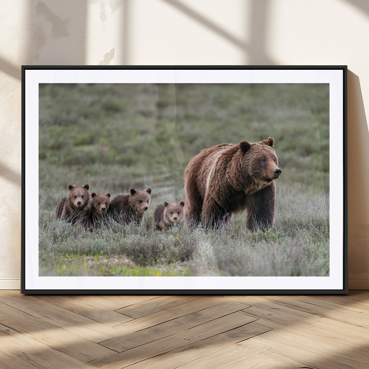Wildlife Photography of 399 Grizzly Bear Cubs | Queen of the