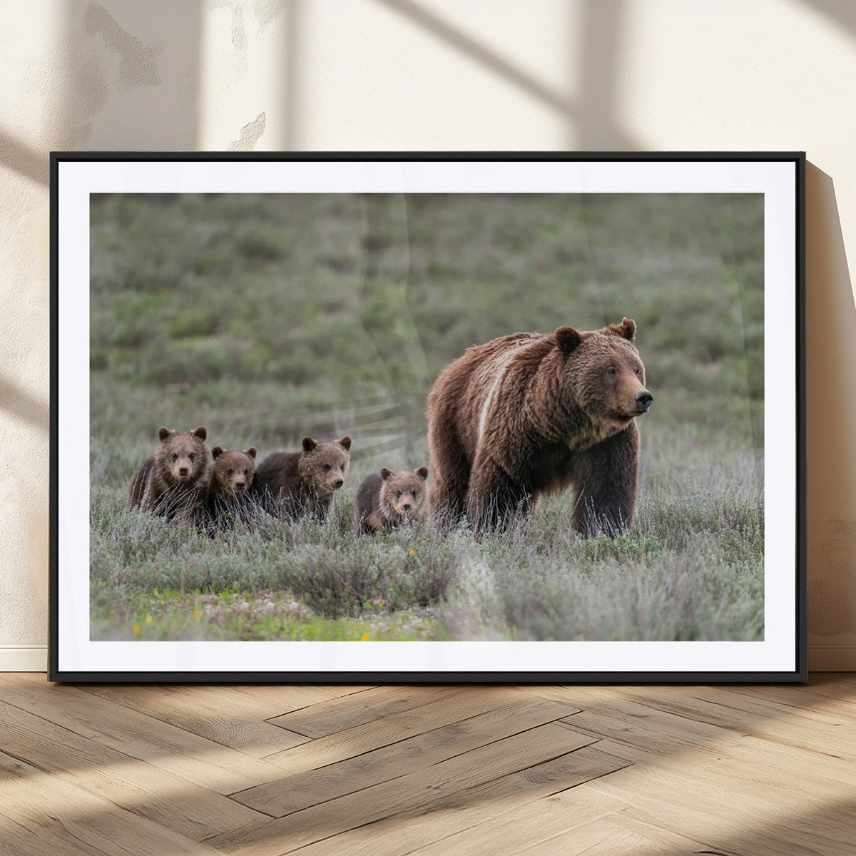 Wildlife Photography of 399 Grizzly Bear Cubs | Queen of the