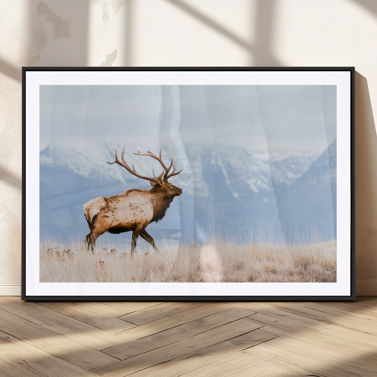 Elk Wall Art Canvas Print – Framed Mountain Wildlife Art