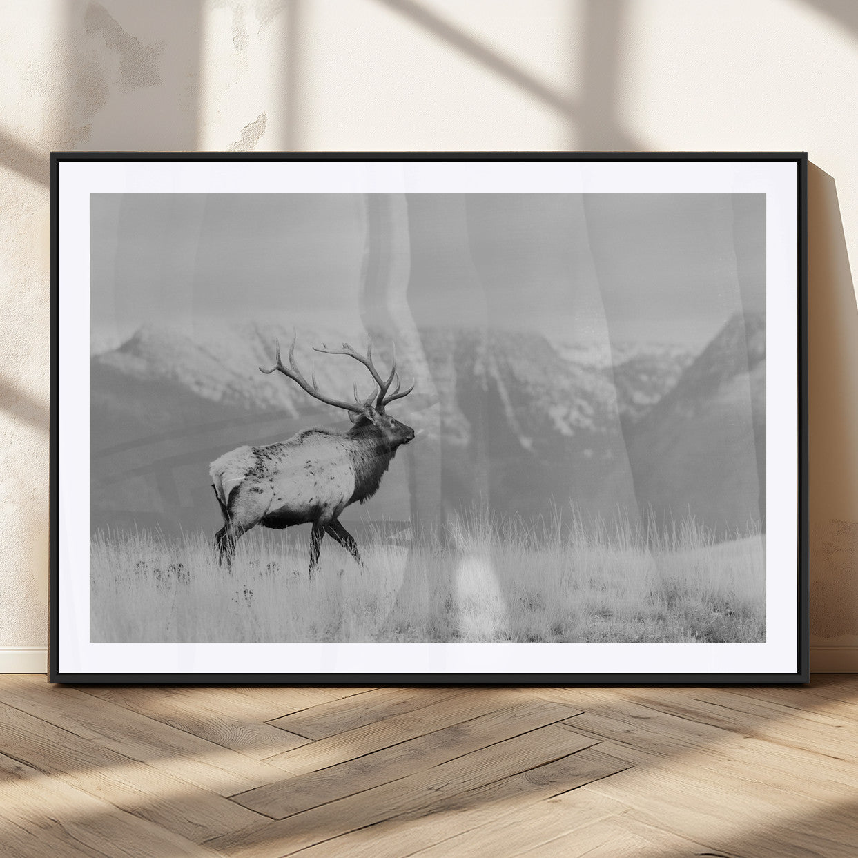 Elk Photography Wall Art Canvas Print, Framed Mountain