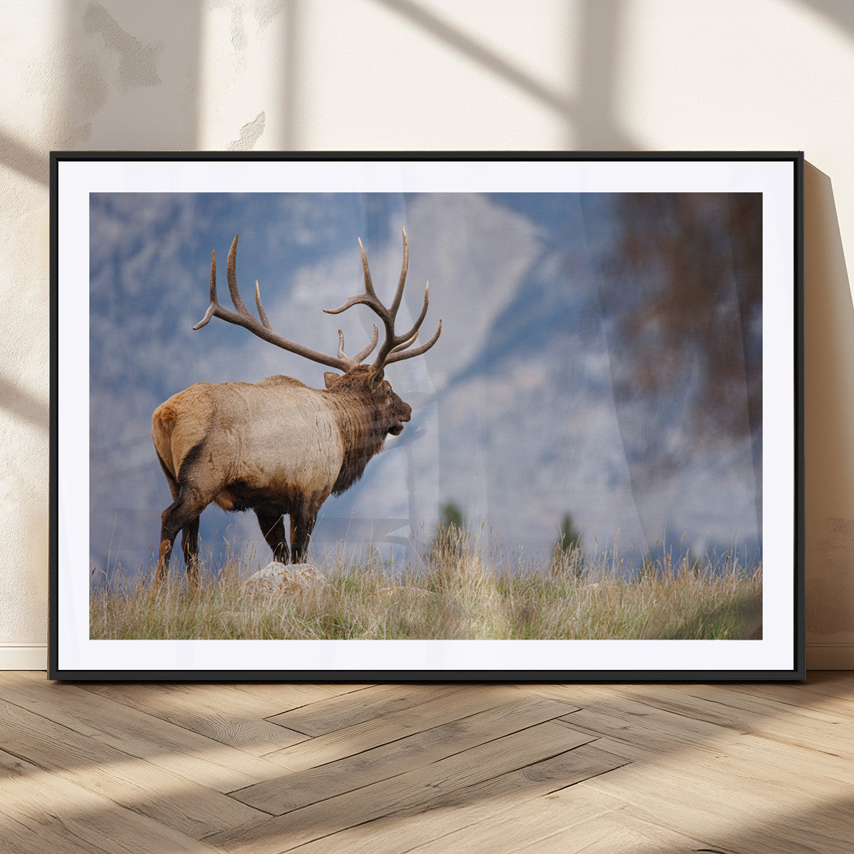 Mountain Elk Wall Art Canvas Print – Framed Rustic Wildlife