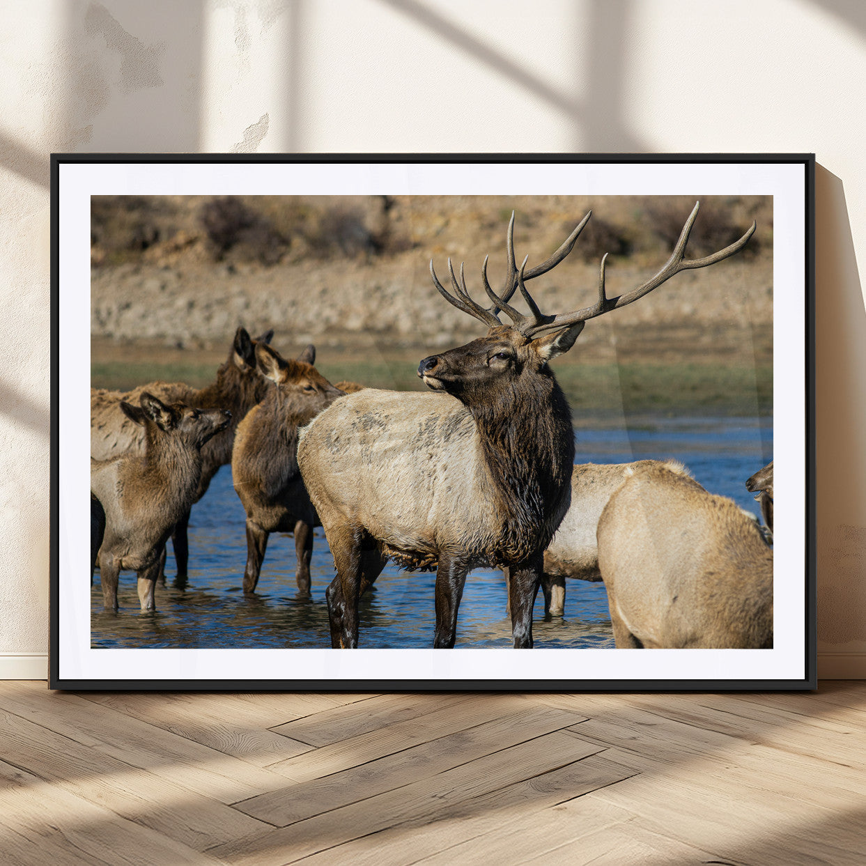Wild Elk Wall Art Canvas Print – Framed Neutral Wildlife