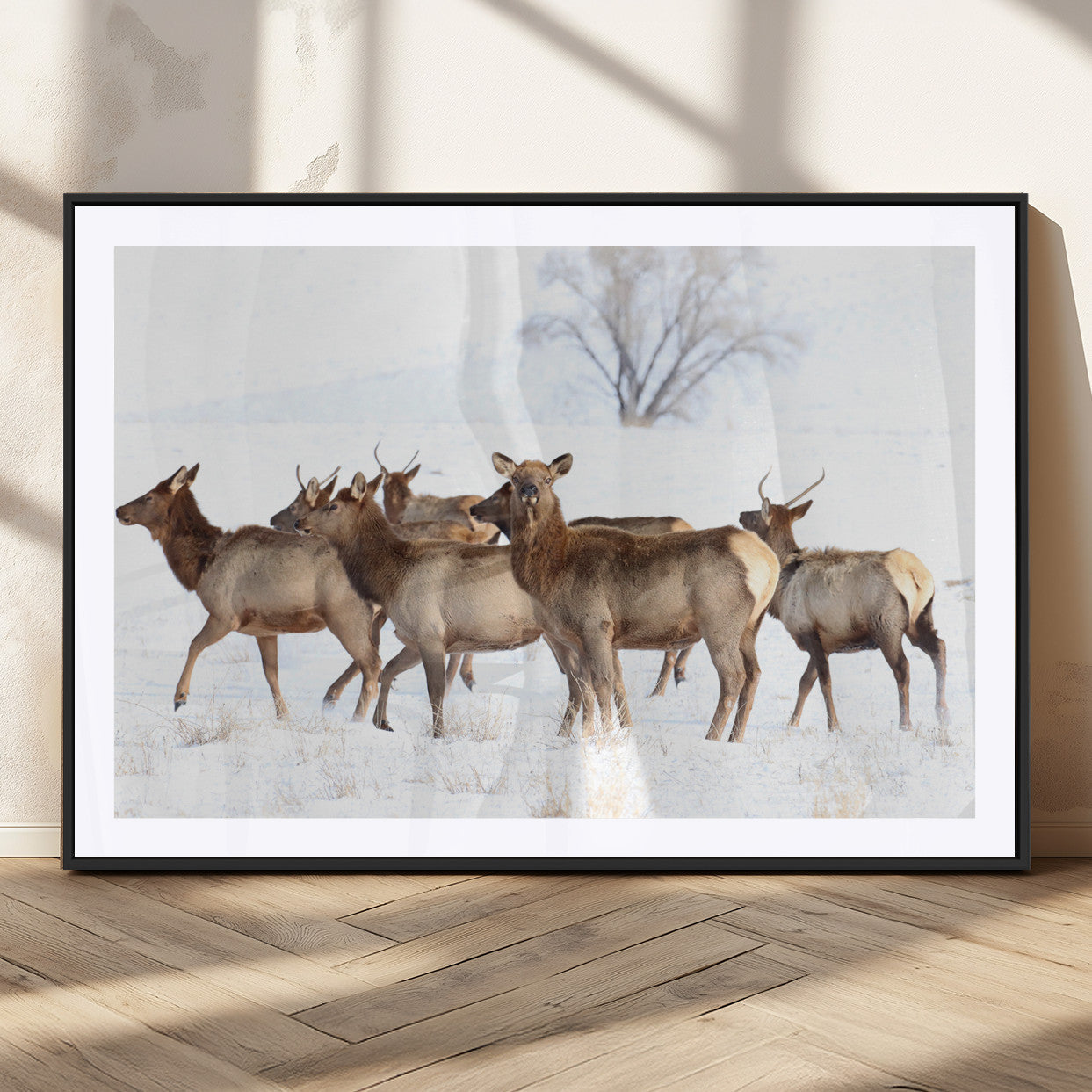 Snowy Elk Herd Wall Art Canvas Print – Majestic Winter