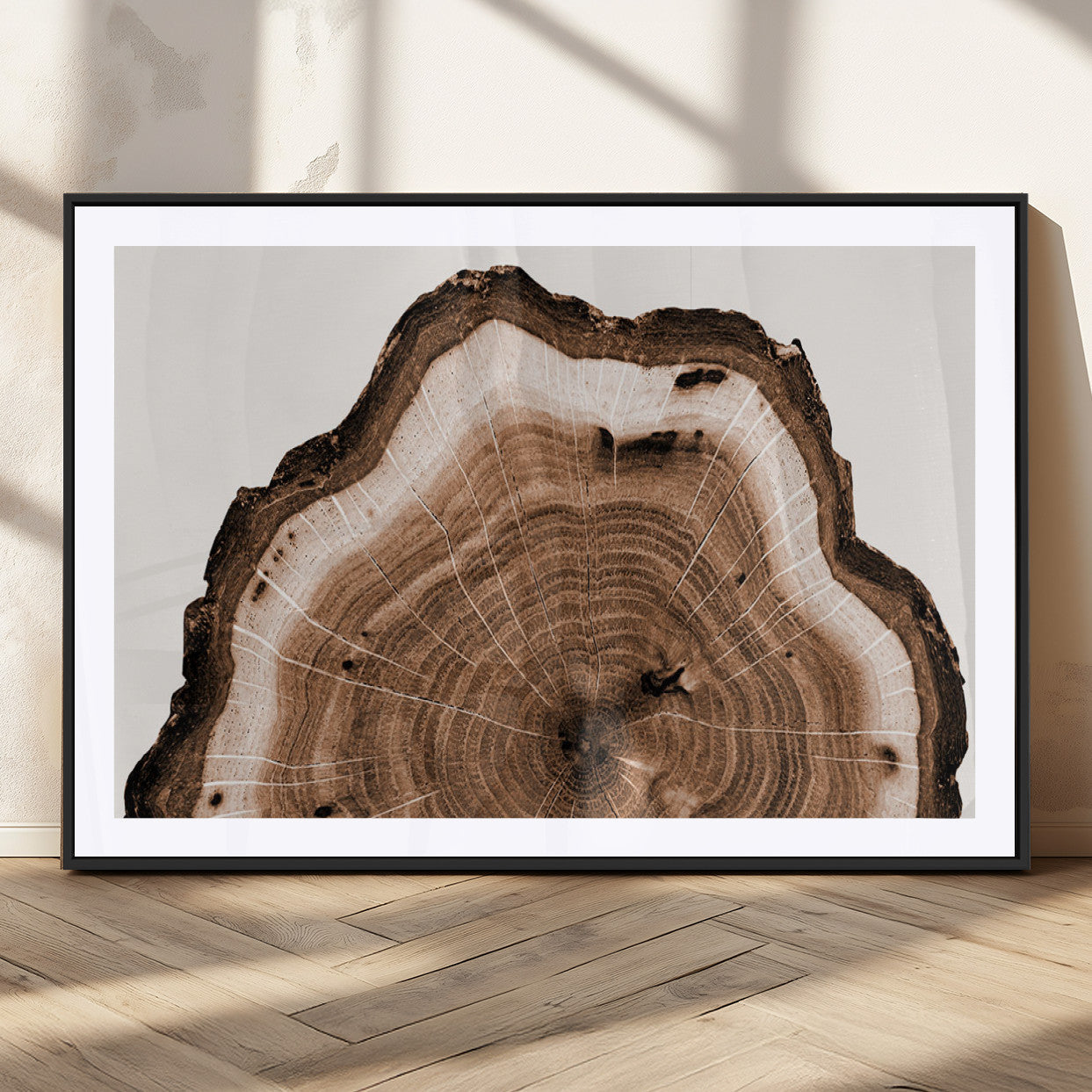 Rustic Wood Rings Wall Art | Nature-Inspired Tree Ring
