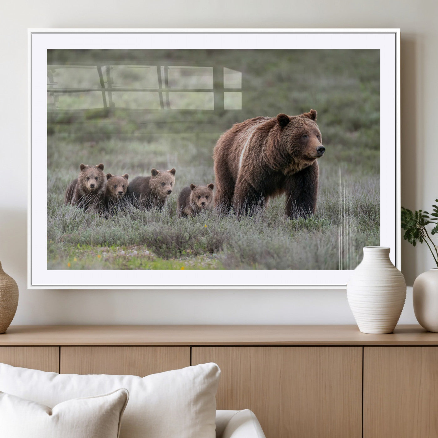 Wildlife Photography of 399 Grizzly Bear Cubs | Queen of the