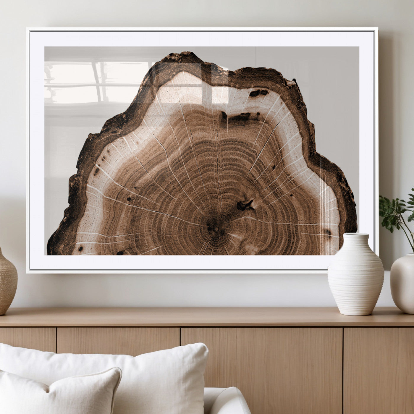 Rustic Wood Rings Wall Art | Nature-Inspired Tree Ring