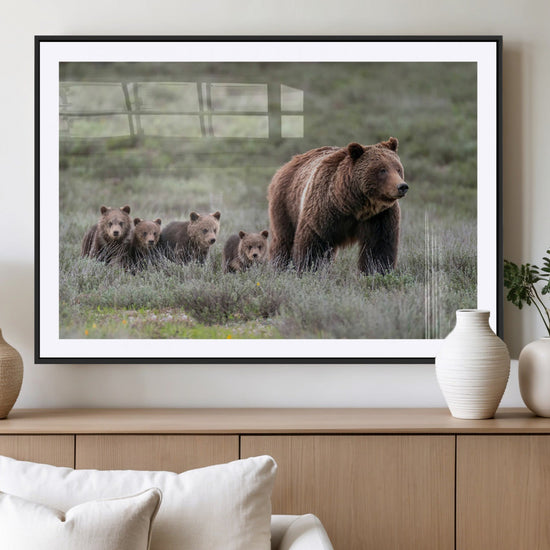 Wildlife Photography of 399 Grizzly Bear Cubs | Queen of the