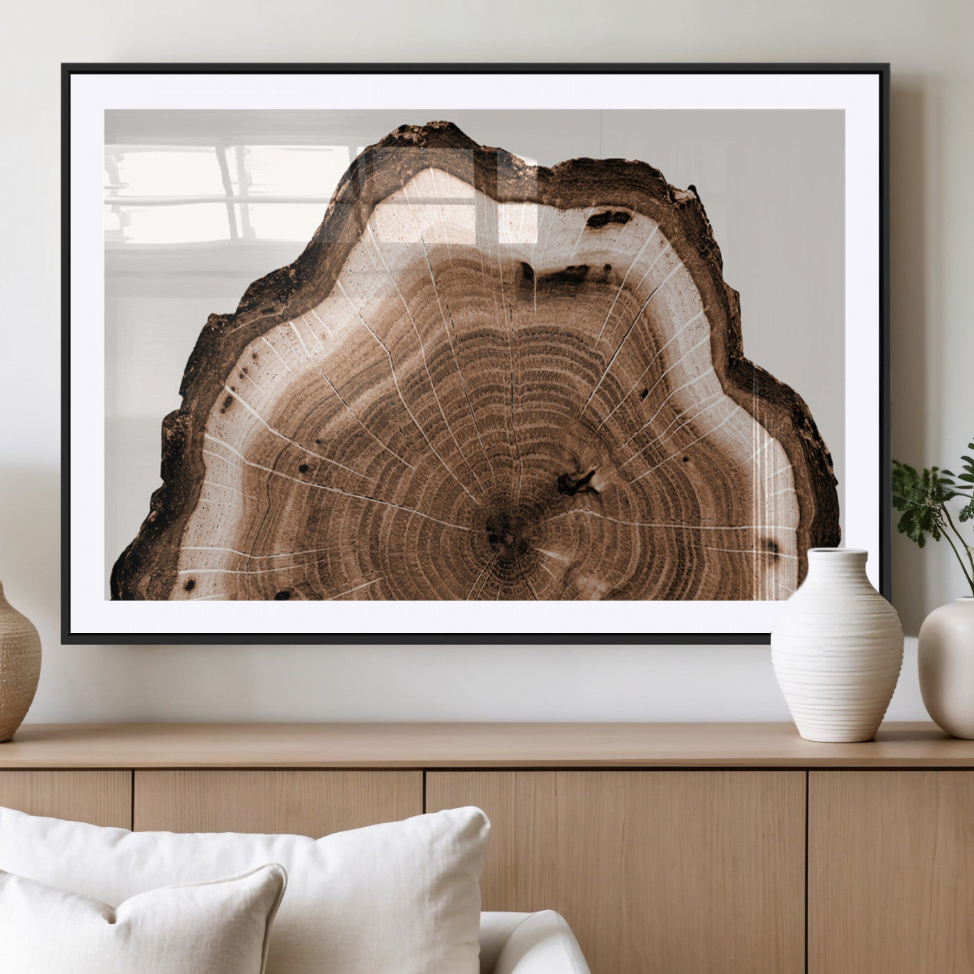 Rustic Wood Rings Wall Art | Nature-Inspired Tree Ring