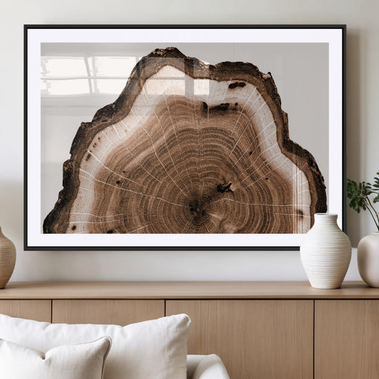 Rustic Wood Rings Wall Art | Nature-Inspired Tree Ring