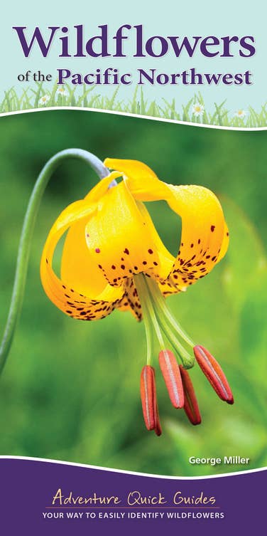 Wildflowers of Pacific Northwest Quick Guide