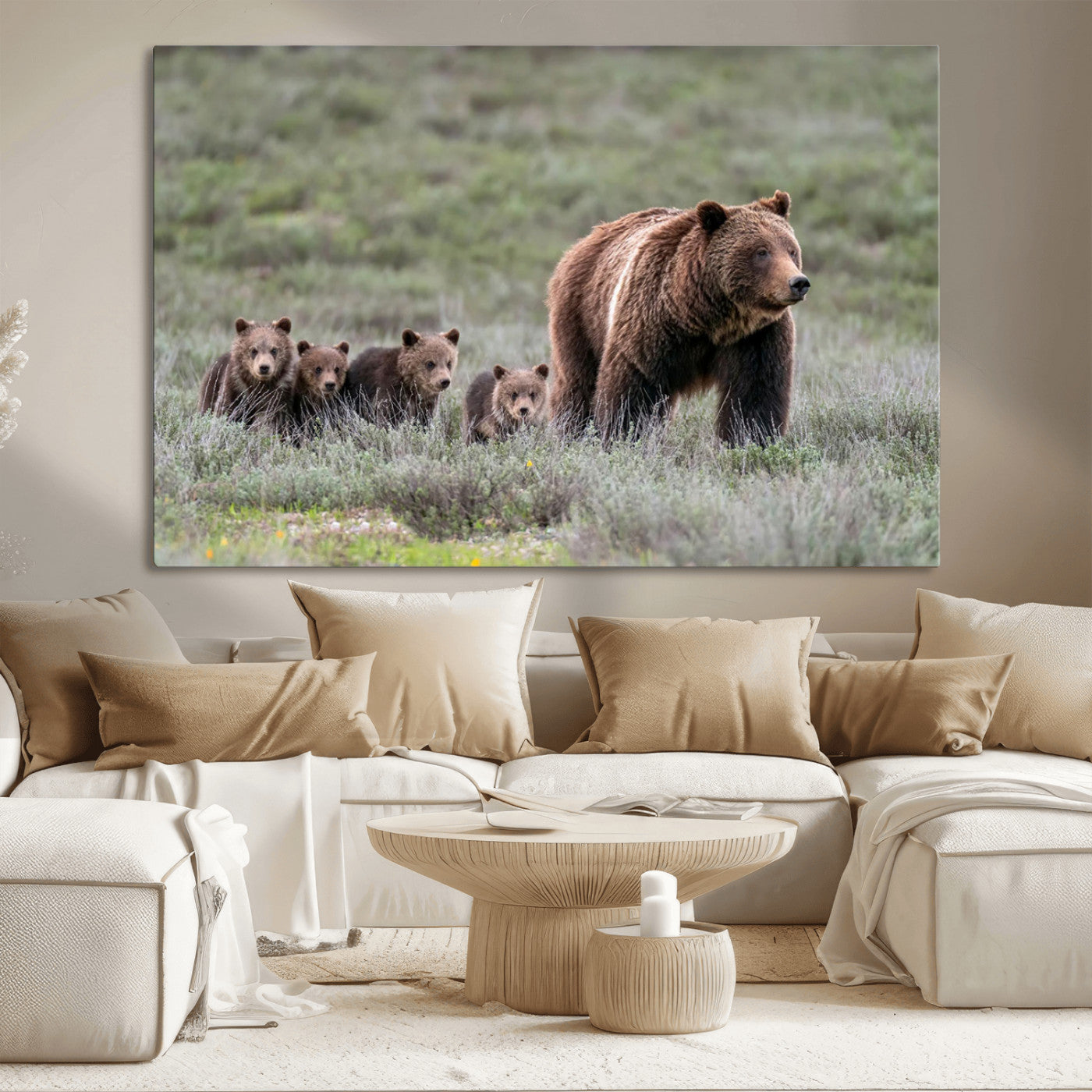 Wildlife Photography of 399 Grizzly Bear Cubs | Queen of the