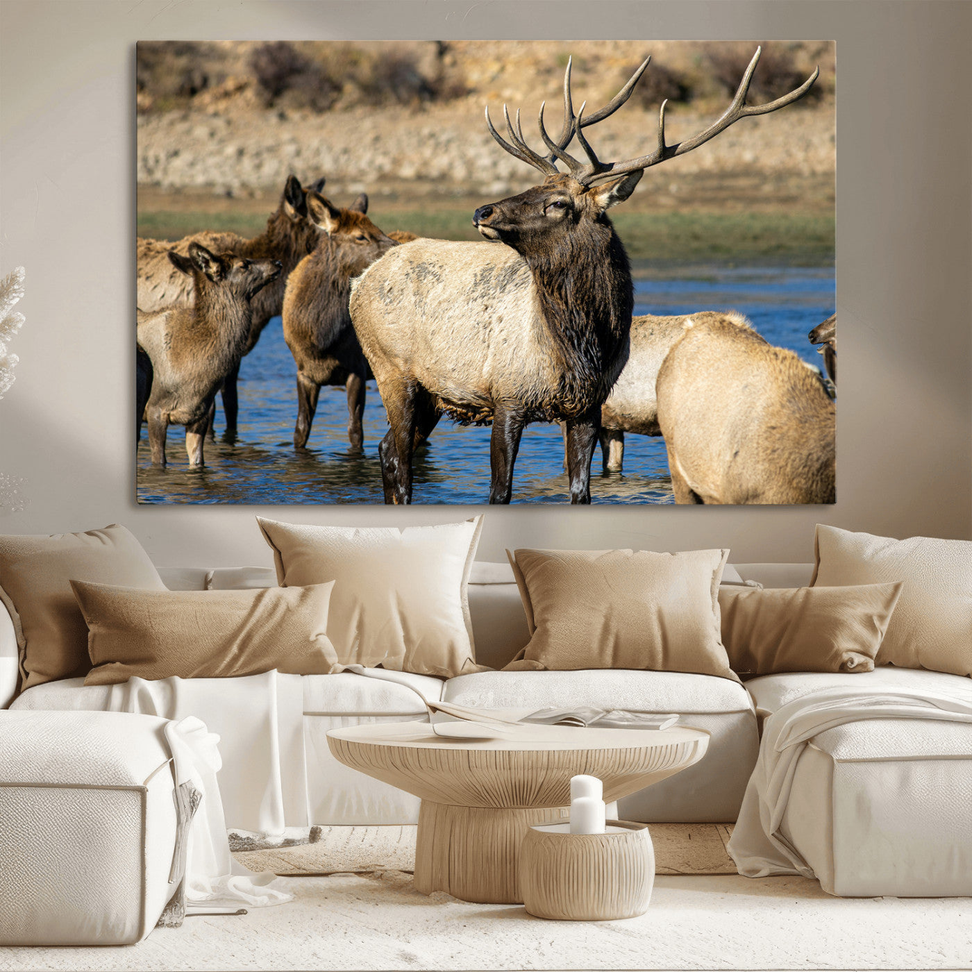 Wild Elk Wall Art Canvas Print – Framed Neutral Wildlife