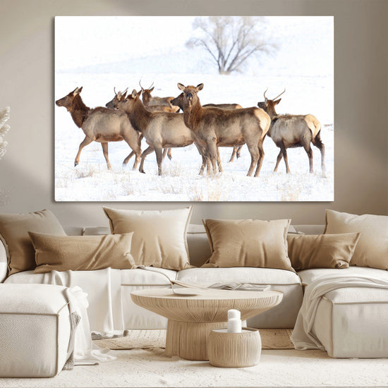 Snowy Elk Herd Wall Art Canvas Print – Majestic Winter