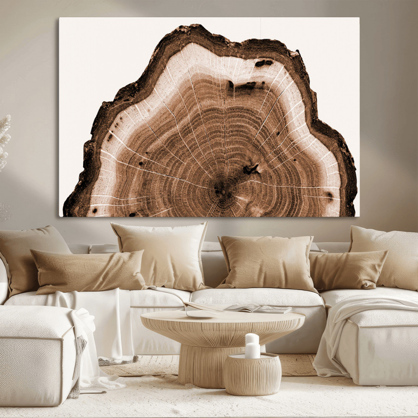 Rustic Wood Rings Wall Art | Nature-Inspired Tree Ring