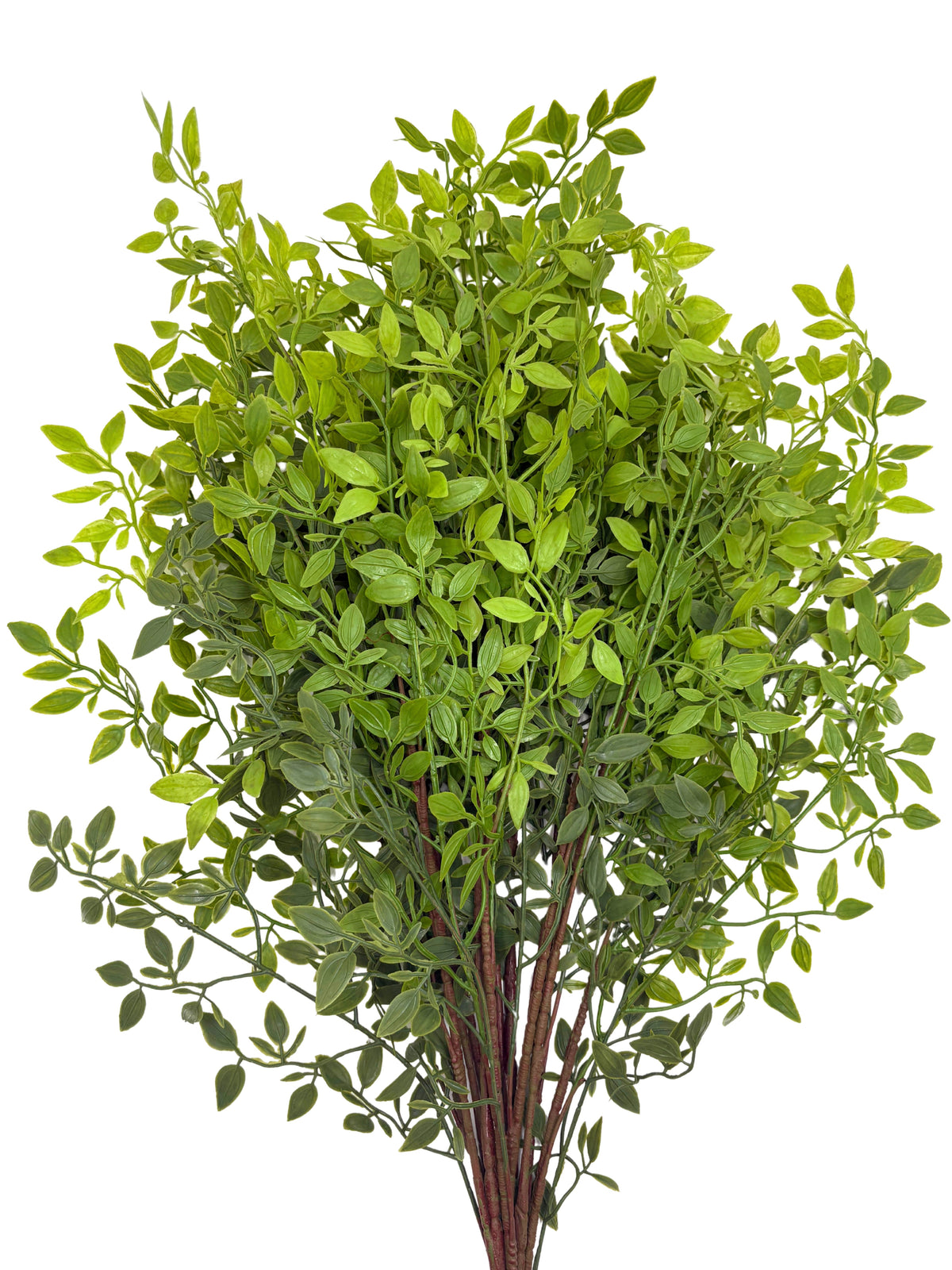 Artificial Italian Ruscus Stems - Bundle of 4
