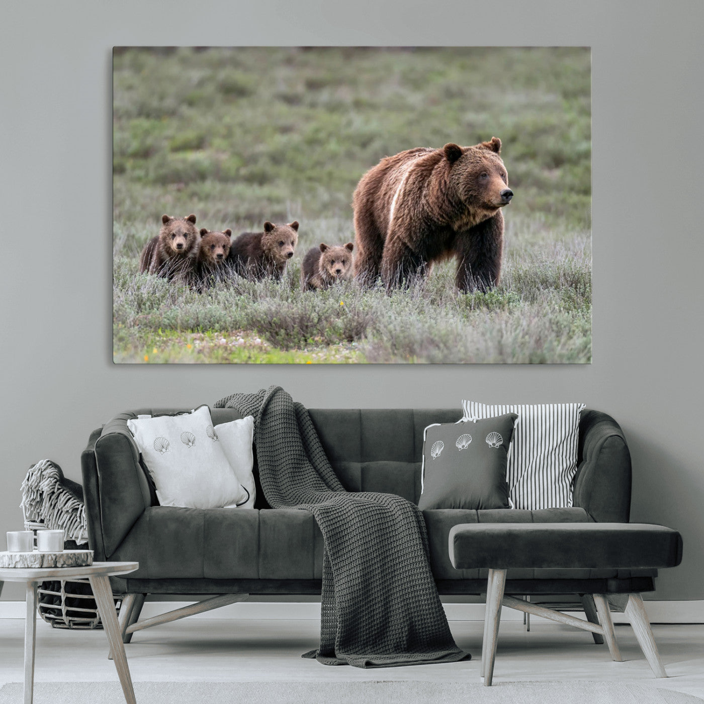 Wildlife Photography of 399 Grizzly Bear Cubs | Queen of the