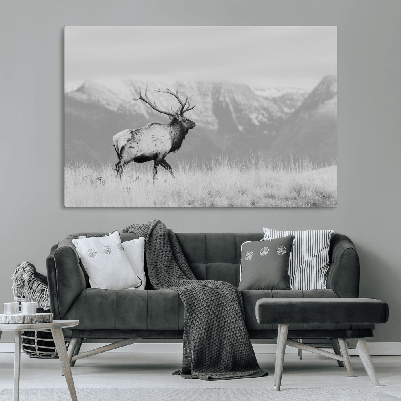 Elk Photography Wall Art Canvas Print, Framed Mountain