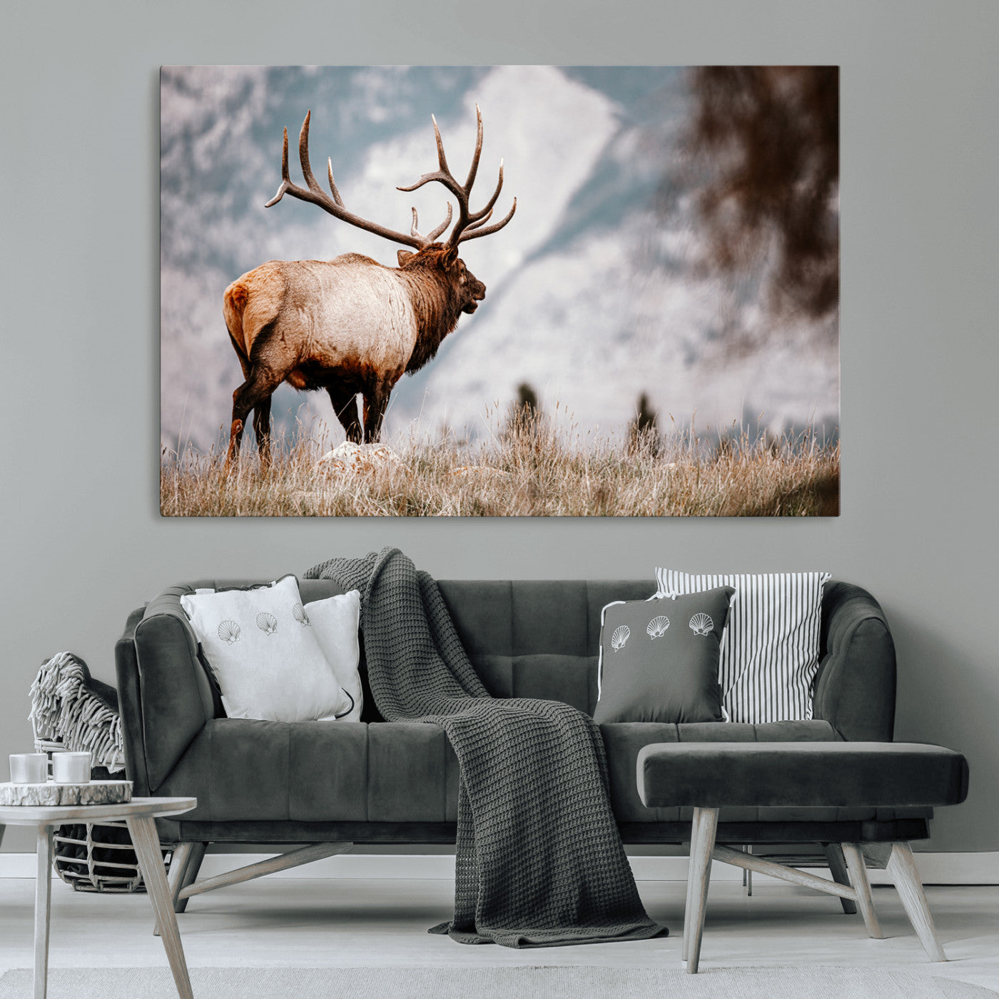 Elk Photography Wall Art Canvas Print – Framed Mountain