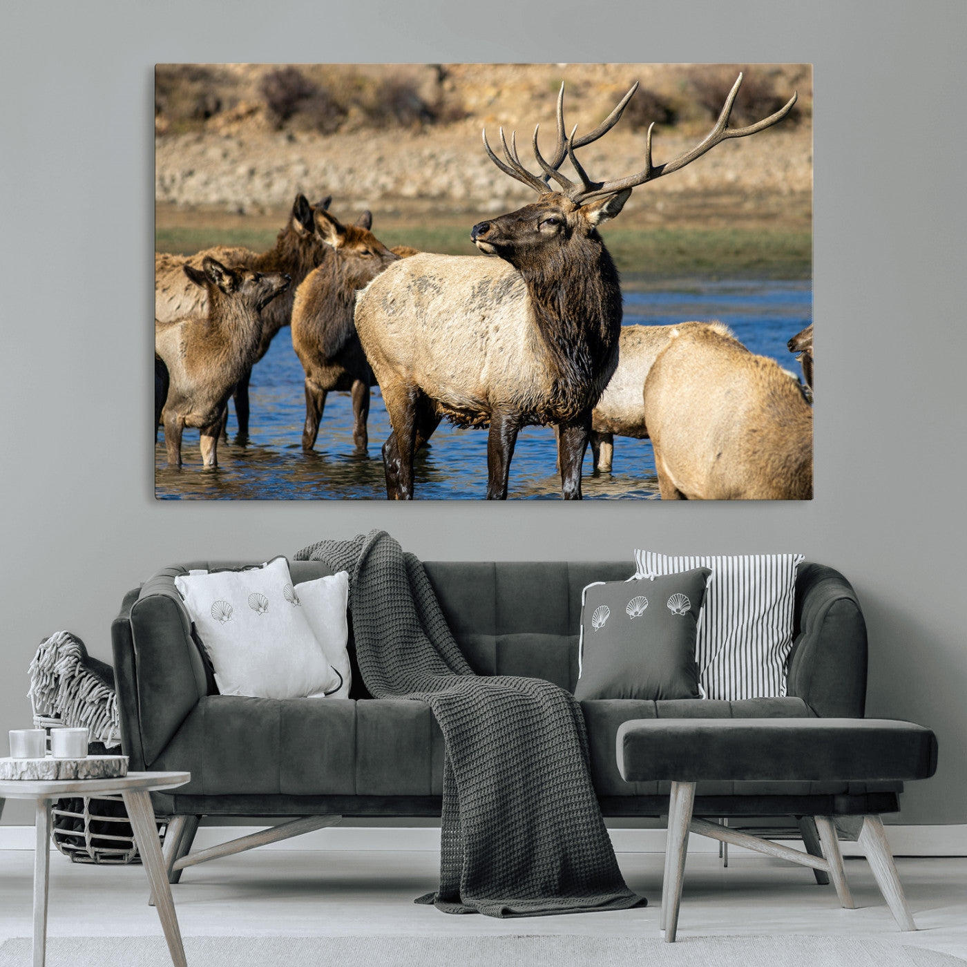 Wild Elk Wall Art Canvas Print – Framed Neutral Wildlife
