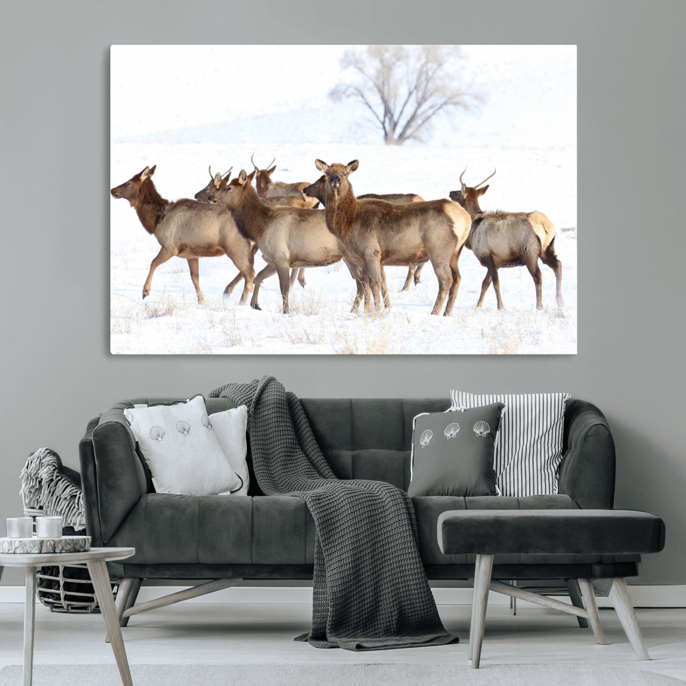 Snowy Elk Herd Wall Art Canvas Print – Majestic Winter