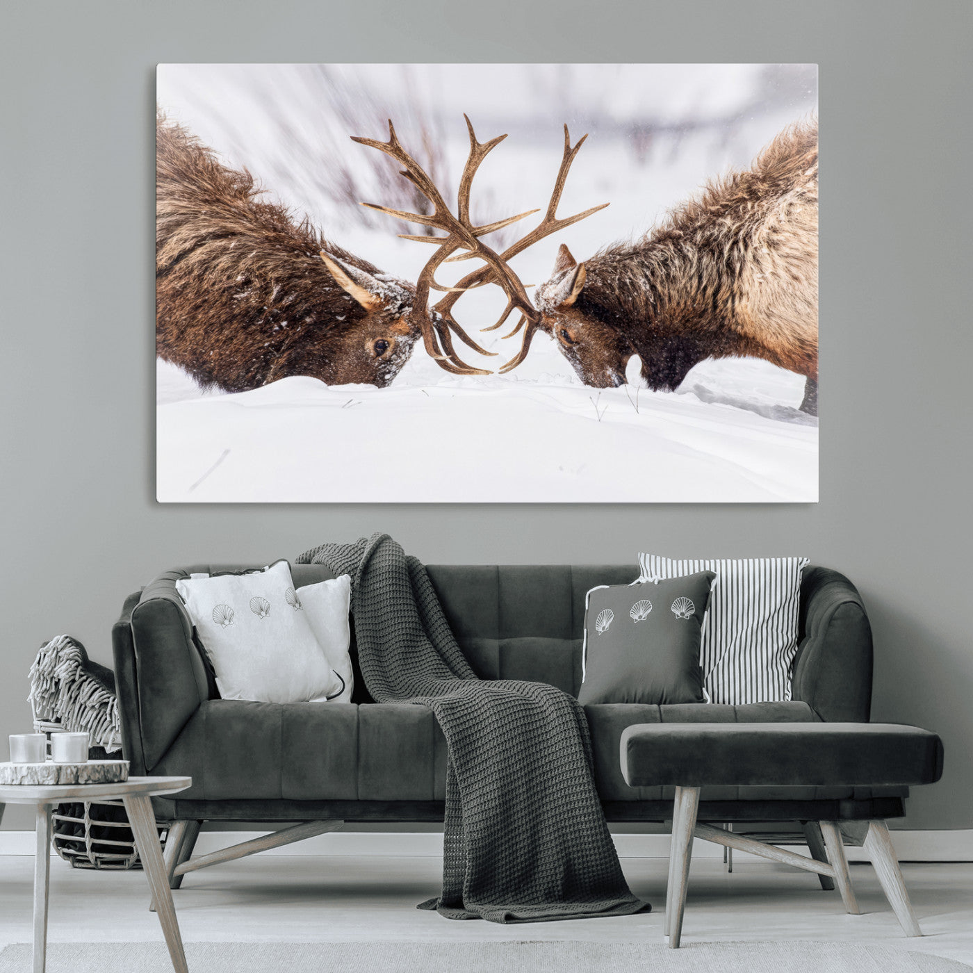Dramatic Elk Antler Battle Wall Art Canvas Print – elk