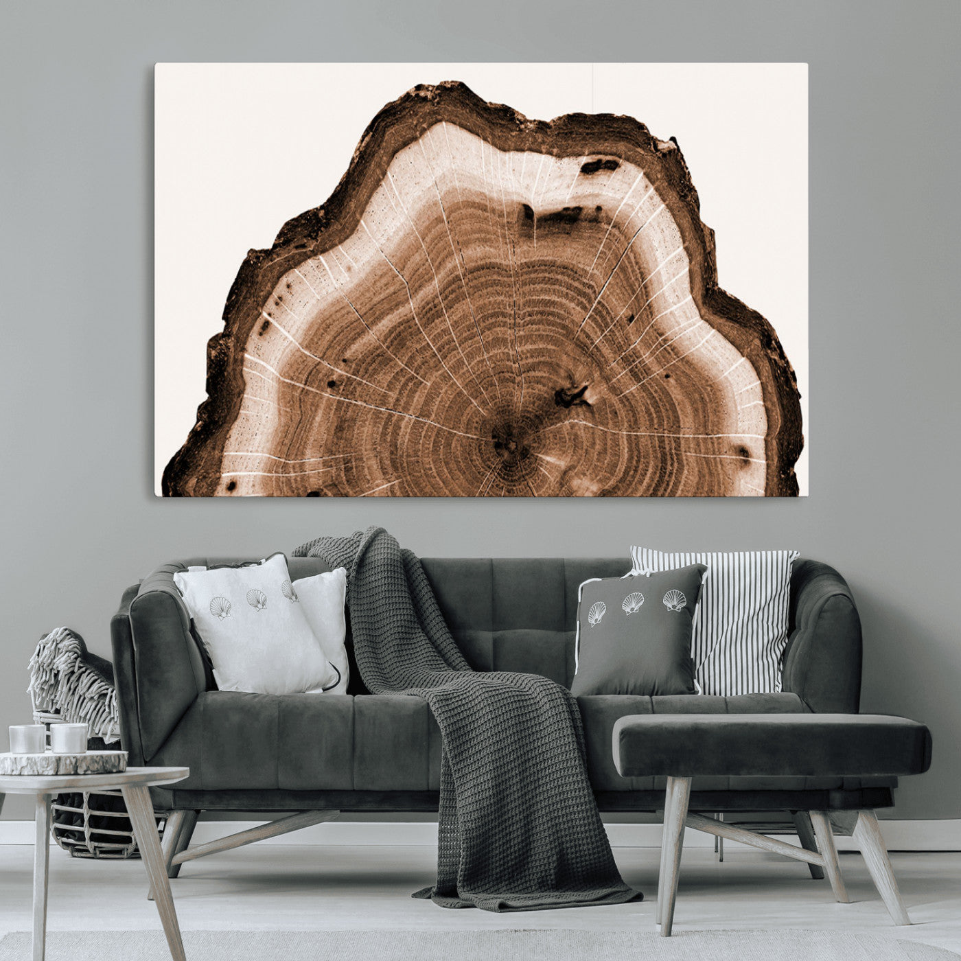 Rustic Wood Rings Wall Art | Nature-Inspired Tree Ring