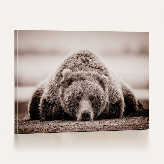 Grizzly Bear Wall Art Print - Bear Canvas Wall Art - Rustic