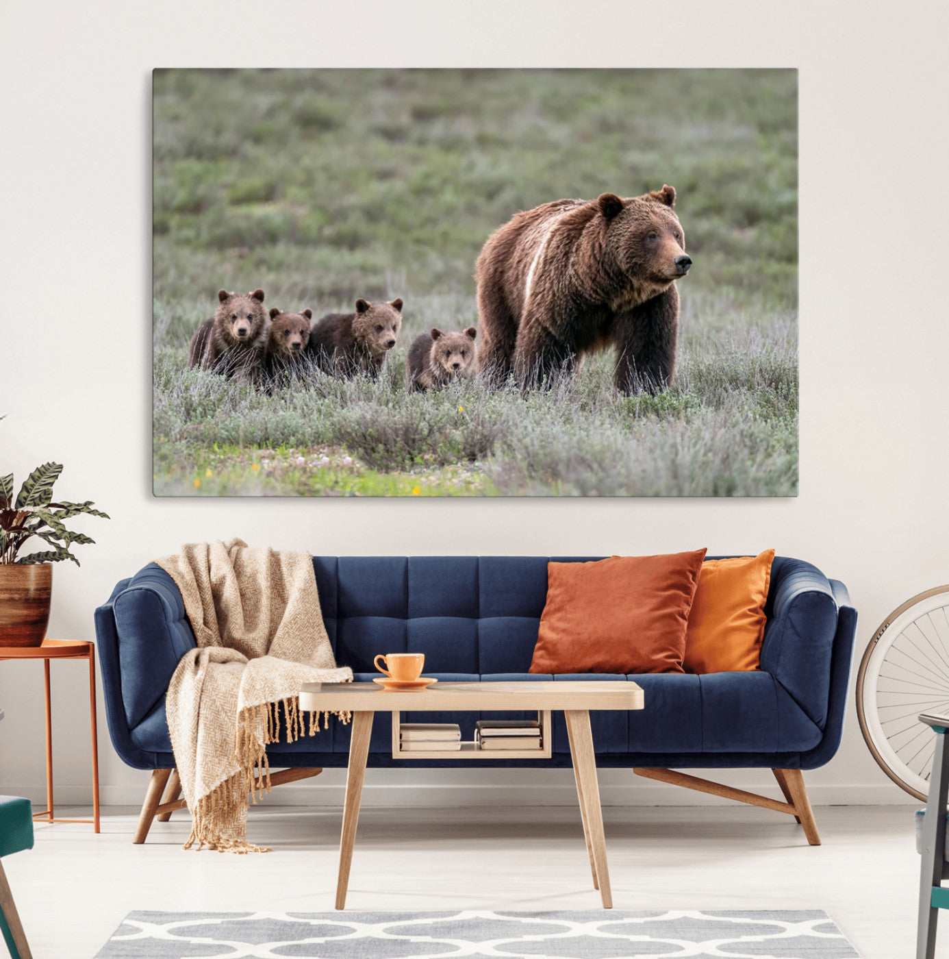Wildlife Photography of 399 Grizzly Bear Cubs | Queen of the