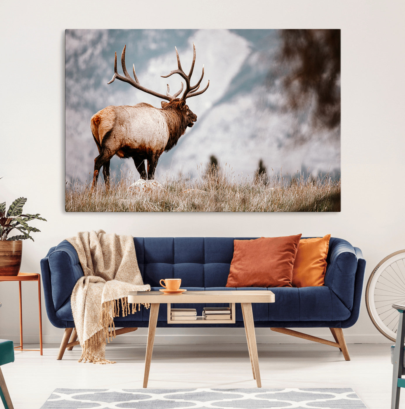 Elk Photography Wall Art Canvas Print – Framed Mountain