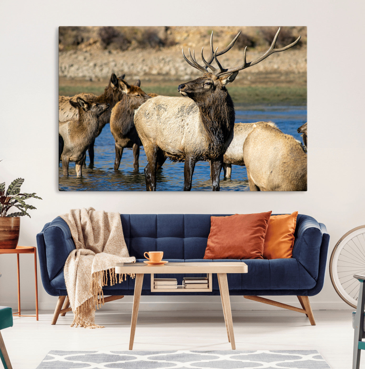 Wild Elk Wall Art Canvas Print – Framed Neutral Wildlife