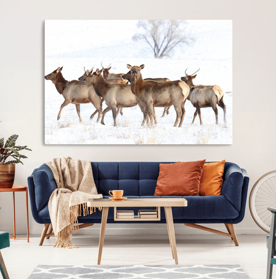 Snowy Elk Herd Wall Art Canvas Print – Majestic Winter