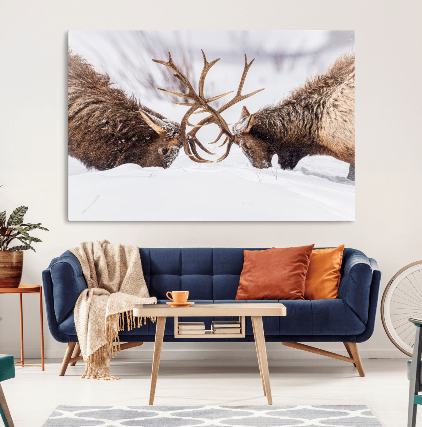 Dramatic Elk Antler Battle Wall Art Canvas Print – elk