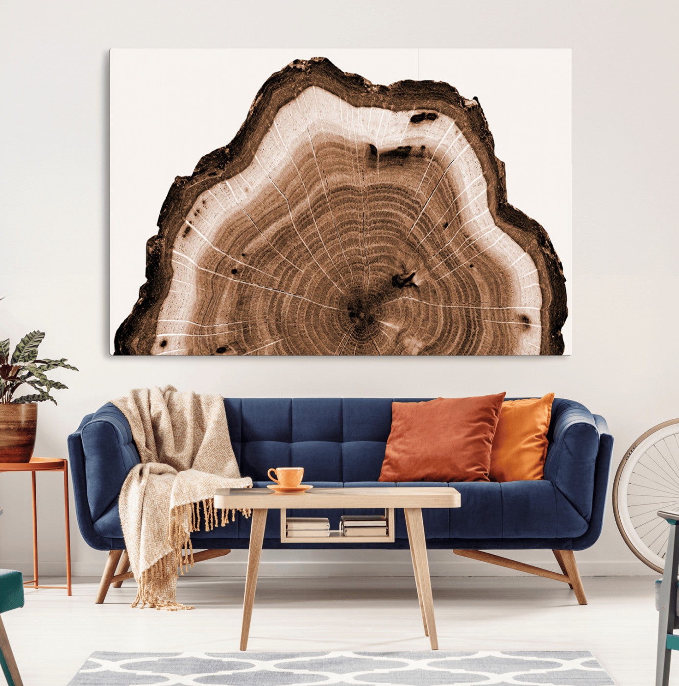 Rustic Wood Rings Wall Art | Nature-Inspired Tree Ring
