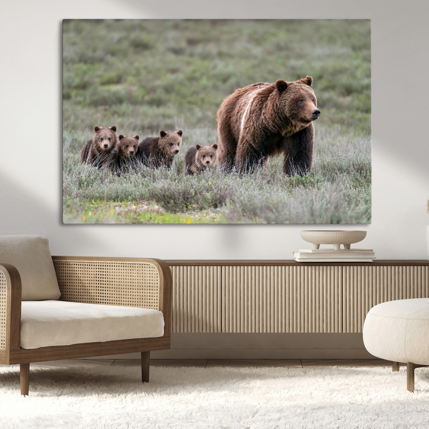 Wildlife Photography of 399 Grizzly Bear Cubs | Queen of the