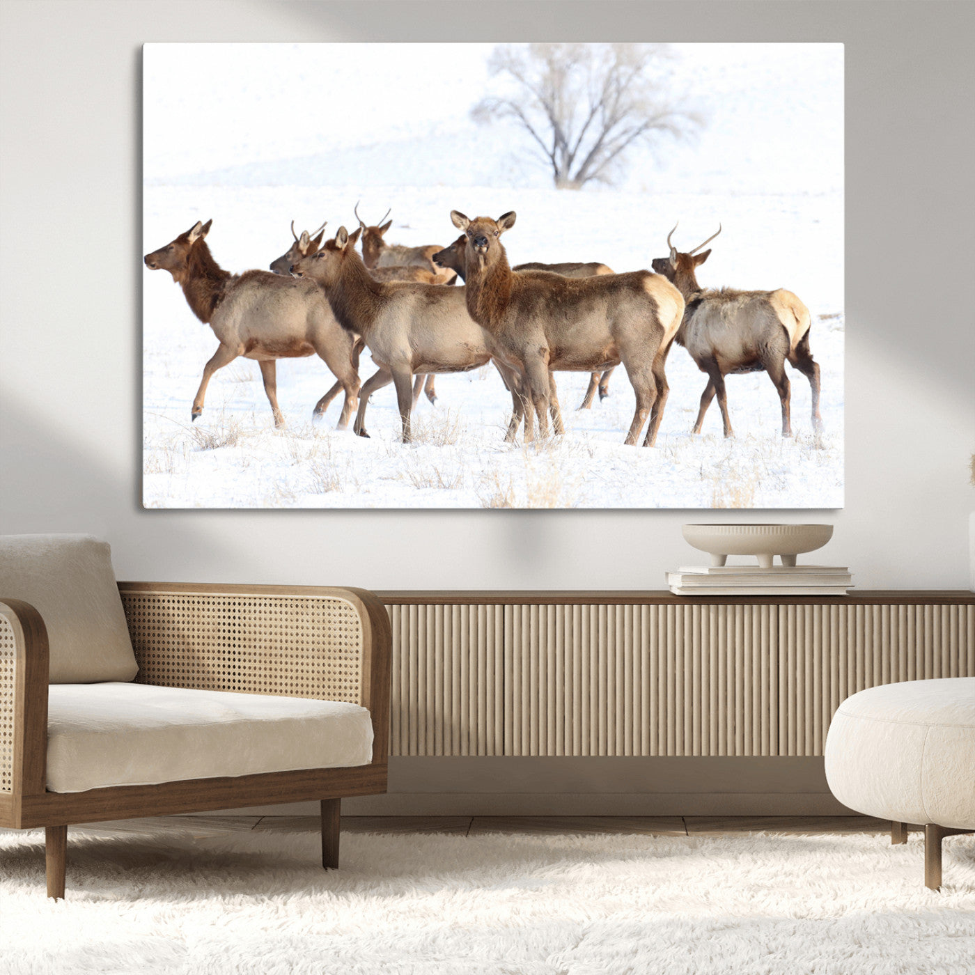Snowy Elk Herd Wall Art Canvas Print – Majestic Winter