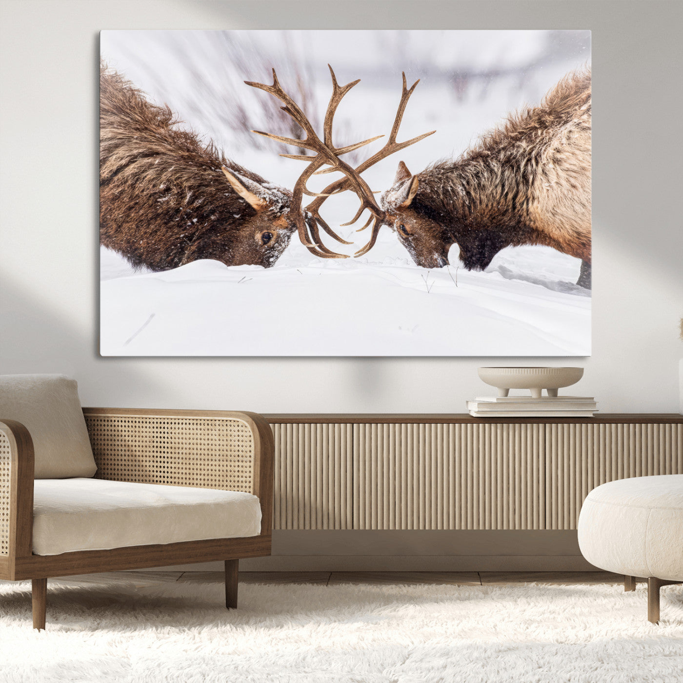 Dramatic Elk Antler Battle Wall Art Canvas Print – elk