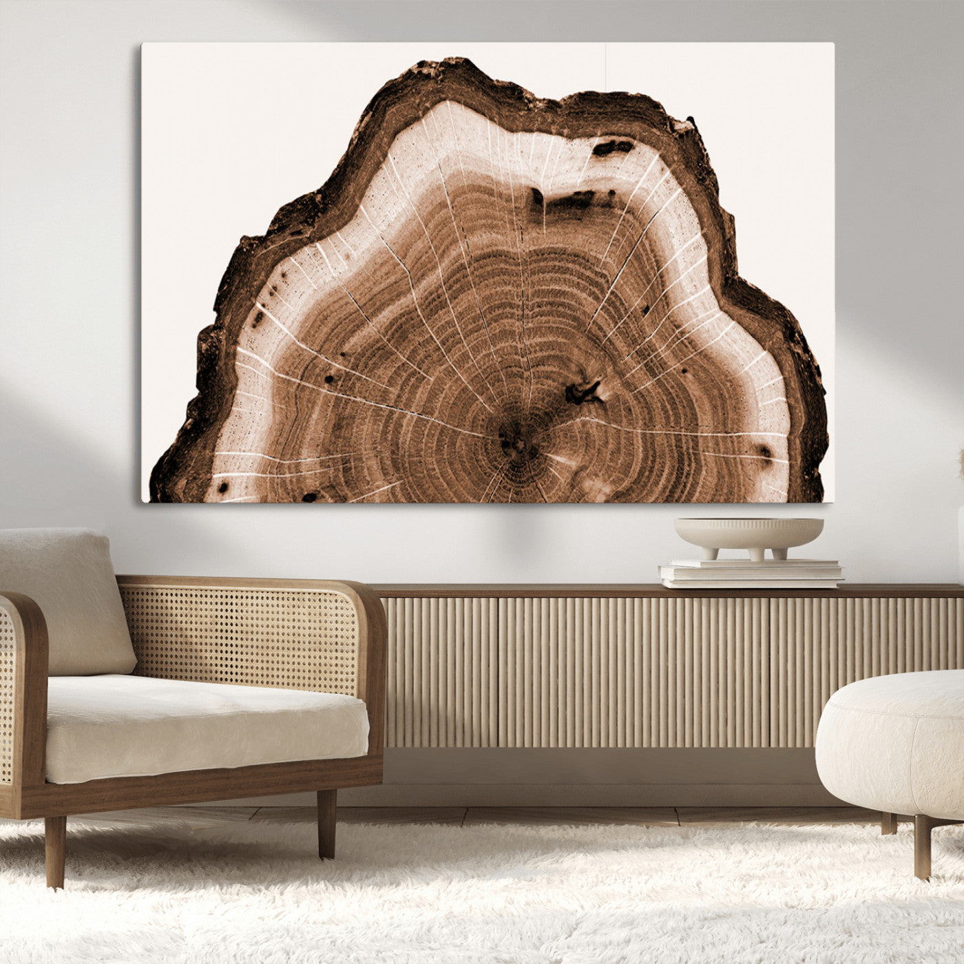 Rustic Wood Rings Wall Art | Nature-Inspired Tree Ring
