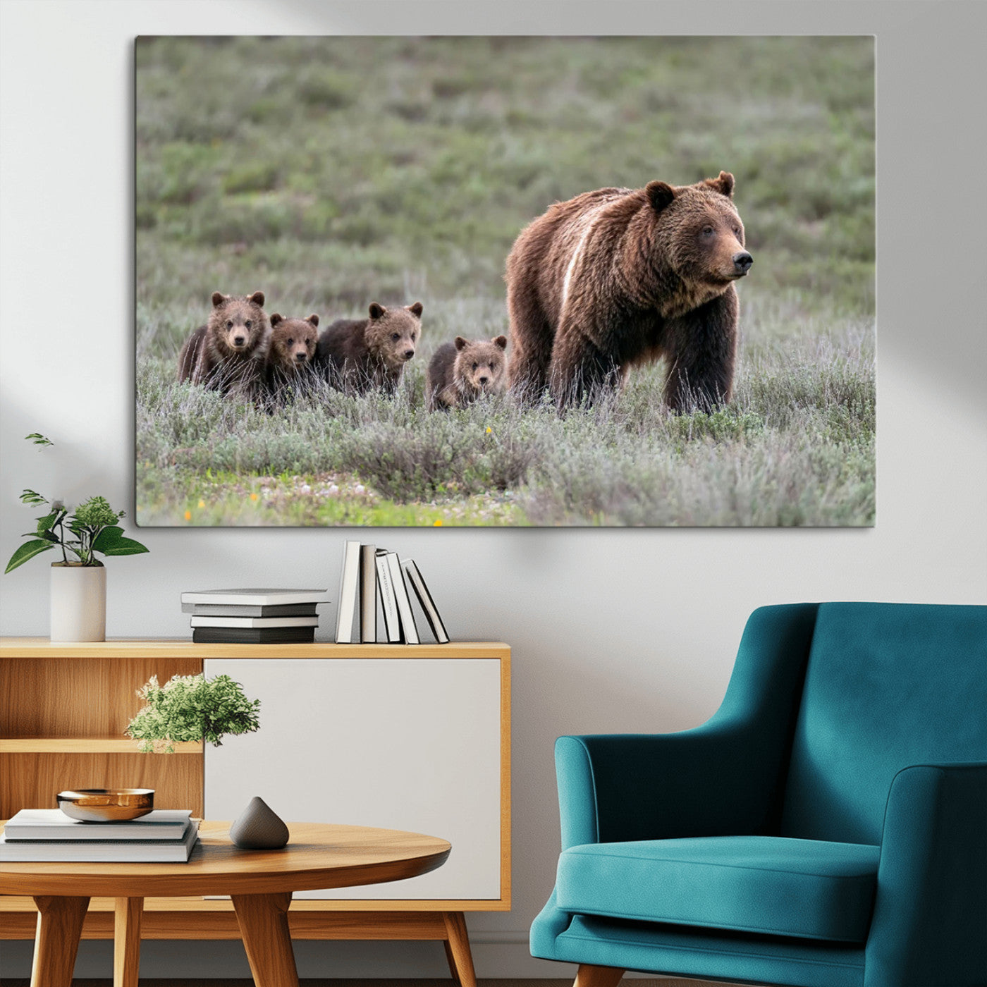 Wildlife Photography of 399 Grizzly Bear Cubs | Queen of the