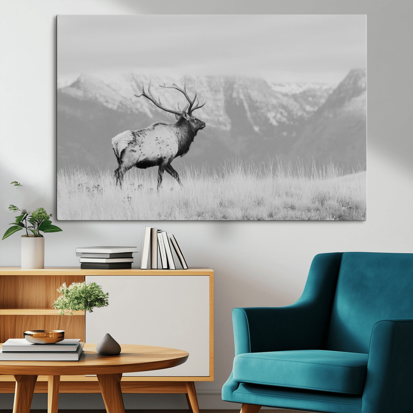 Elk Photography Wall Art Canvas Print, Framed Mountain