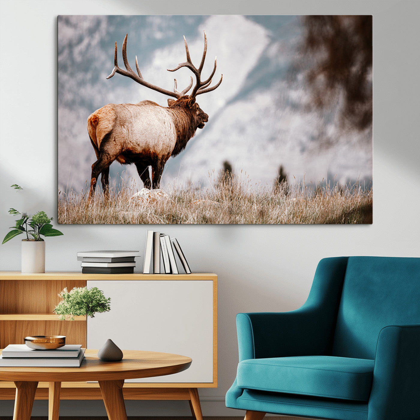 Elk Photography Wall Art Canvas Print – Framed Mountain